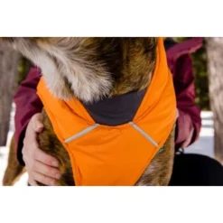 Ruffwear Quinzee™ Hundejacke Orange M -Katzen Hundebedarf Geschäft 001bdf29a34dffebf7840b4a759030f83c299732 1370013 de DE 17dd615b14a3a705025267b6458fddf099eb308bn8H5c2