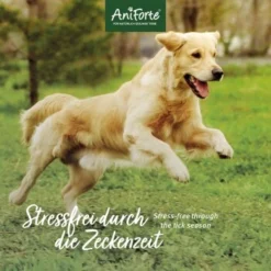 Aniforte Zecken Schild (35 Bis 50kg) Für Große Hunde 60 Kapseln -Katzen Hundebedarf Geschäft 010a1fb0eff3b08c7c0fd6ddc69909abba0586dd 1444358 de DE 6b0465714e7043aa512f07a2e3a3c8a3a07d4c02oT8Ojy