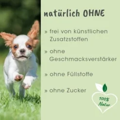 ArthroGreen Junior 25 G -Katzen Hundebedarf Geschäft 013d32f1d253838d1efc9de0f8c454f921526ea1 1674241 de DE 833c41f64e49fb0cf3ea1fa970839416ee330fd2KA770O