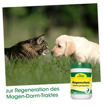 CdVet Magenschutz 100 G 2 CdVet Magenschutz 100 G – Bild 2