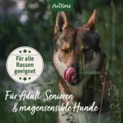 Aniforte Trockenfutter FreelandDuck - Leckere Ente Mit Hirse 2 Kg -Katzen Hundebedarf Geschäft 03c12eedba3985ee1134572c8becc3b62e64671b 1662324 de DE 633911faac3a9e48a06680ed5c3e6acdc44879d7RCWWhM
