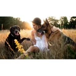 Mammaly Super Protect 110g -Katzen Hundebedarf Geschäft 05c9b1b79b877db2952fc05b88ebc49c5e35a7e1 1472890 1