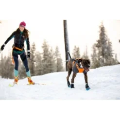 Ruffwear Cloud Chaser™ Hundejacke Schwarz XXS 20 Ruffwear Cloud Chaser™ Hundejacke Schwarz XXS -Katzen Hundebedarf Geschäft 06cfa3a745821d84428a1de78da0089ce33c0271 1369623 de DE 87163fc3e147e303fdf97d4ab87fd720c4f34a96nSWmMF