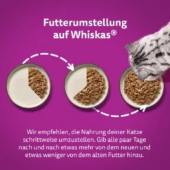 Whiskas Mega Pack 1+ Klassische Auswahl In Sauce 40 X 85g -Katzen Hundebedarf Geschäft 0e5fe8fde24fd1b4a1231a4050188d4590331ea5 1410718 de DE Whiskas 4