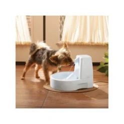 PetSafe Drinkwell Trinkbrunnen Original, 1,5 Liter -Katzen Hundebedarf Geschäft 0eafb4742dba6833f9a27c15a06f970e4cd3a735 e5e9d8abdbe4501019d4b3506e15c02aeff7b01c
