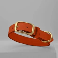 THE DOG IDEA Leder Halsband Orange M -Katzen Hundebedarf Geschäft 12b037fcd21444157e1d45a6d5fe2ee513fb1836 1674196 de DE 5978bd7e64f16150cd3183d9e93e99db73128fa2XPyfWy