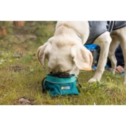 Ruffwear Quencher Cinch Top™ Napf Entenbraun L 13 Ruffwear Quencher Cinch Top™ Napf Entenbraun L -Katzen Hundebedarf Geschäft 12c045082a44359f6775d3e7005e1039151a5ded 1651468 de DE 65c7c00ffa4a6b339dfbdd20a6b57d674256cb44oMcOyM