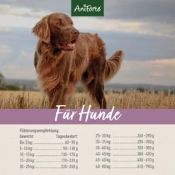 Aniforte Trockenfutter FreelandDuck - Leckere Ente Mit Hirse 2 Kg -Katzen Hundebedarf Geschäft 13c4246af2b76223ac75656860854c45cebaac4d 1662324 de DE f7a0afc6f60115f9fb5ca44db2877680dcfe8a13QvN4un