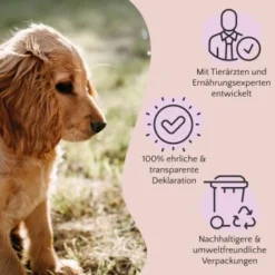 FAVLY Petfood Premium Naturkauartikel Rinderkopfhaut 750 G 5 FAVLY Petfood Premium Naturkauartikel Rinderkopfhaut 750 G -Katzen Hundebedarf Geschäft 16b068451ff3df67cd4c996bc25d91fc297148e7 1473999 de DE a2c9f8d86d80fc90ca8f9c923a08051ec130ef8dA94Ri3