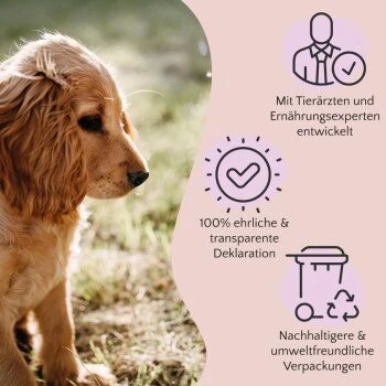 FAVLY Petfood Premium Naturkauartikel Rinderkopfhaut 750 G 3 FAVLY Petfood Premium Naturkauartikel Rinderkopfhaut 750 G – Bild 3