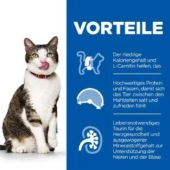 Hill's Science Plan Light Mature Adult 7+ Mit Huhn 7 Kg 10 Hill's Science Plan Light Mature Adult 7+ Mit Huhn 7 Kg -Katzen Hundebedarf Geschäft 172b6acbb24caf66178d710c08a2d84ed4deb860 52742761602 4