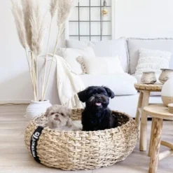 District 70 COCOON Natural M -Katzen Hundebedarf Geschäft 1db584284c497361442002ba80ca8dd9597a35b9 1ad367312153dfaf420d5600b6e8e9dac5cec798