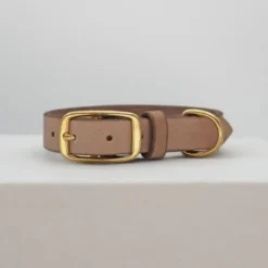THE DOG IDEA Leder Halsband Beige XL -Katzen Hundebedarf Geschäft 1ec48d2972c0e1dfe6ea7297404e371c480b6f93 1674216 de DE e62f018514b26e403cf6836ac6a855f79abfd60fyH1vTH