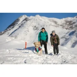 Ruffwear Gnawt-a-Stick™ Spielzeug Blau -Katzen Hundebedarf Geschäft 2246c88048d09d53fa487f072b22d14e4a2e33ef 1639653 de DE 5f53794cf035e2b111cadee76ead9defd3616d73NuZA0y