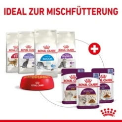 ROYAL CANIN SENSORY Smell In Gelee Für Wählerische Katzen 12x85g -Katzen Hundebedarf Geschäft 25c7f2b0017090b05172a164b94d24299f626039 5b9b3776479c43ed4449b8634046c65b7d96c1fe