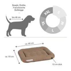 Doctor Bark Lounge-Kissen Sandbraun S -Katzen Hundebedarf Geschäft 2963b4baccec4fc858c8f95f66d3e8f46911bb05 1399026 de DE 90717154e6dd58a4c9c25001e3740a44ceb4b2abm9hHjz