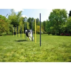 AniOne Agility Slalomstangen 5 AniOne Agility Slalomstangen -Katzen Hundebedarf Geschäft 2c588091cd7b1c91e348dc4b664d5ccf7b813b55 5b90fc3282e3f36a151043eb4999c7a431fb4558