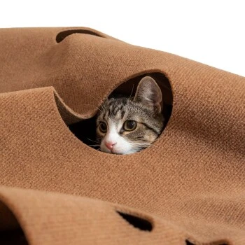 Canadian Cat Company Spielteppich Für Katzen Braun 2 Canadian Cat Company Spielteppich Für Katzen Braun – Bild 2