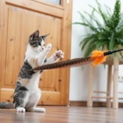 Schlitzohr Federwedel Birdy 3er Pack -Katzen Hundebedarf Geschäft 2e08cedc855b4fe4d22372cc22f48cef3188be3c 1659562 de DE 4a8ba2ccf79071630769db1080a8b14fba93fcb3EKX8X8