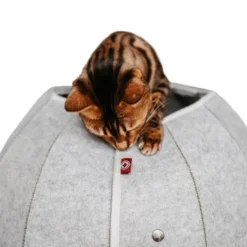 Canadian Cat Company Katzenhöhle In Kugelform S -Katzen Hundebedarf Geschäft 2ecb868df2d3b2cf90a9092caebd3c19caa20008 1347679 de DE 9620a1f8944edc55aec2b992d490644e015c022abD41s1