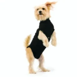 Trovet Hundebody Recovery Suit Schwarz XXS -Katzen Hundebedarf Geschäft 32b188fe2b1d79c98c3d705ed0768a2dea55c852 c9c58232ac385af15a91fd1318f8583c048209d5