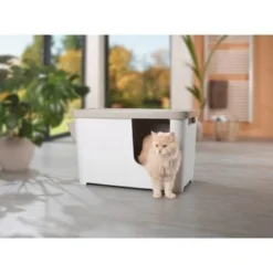 MORE FOR Katzentoilette XXL Titan -Katzen Hundebedarf Geschäft 331a65ecbdbda6a54304894f23caf93293414f9a 41a7dcb3b92b8da7531785b268f381c1b25bbf04