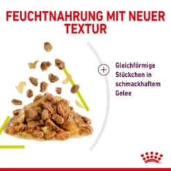 ROYAL CANIN SENSORY Smell In Gelee Für Wählerische Katzen 12x85g -Katzen Hundebedarf Geschäft 3469e2789c9f64bff26f87bbac39ba0a4ed440ea 45f33cf5dbb691236fc67f7b11a07842abb35bb4