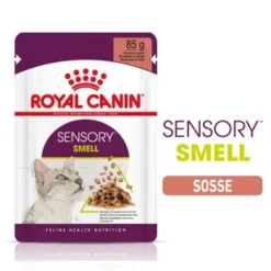 ROYAL CANIN SENSORY Smell In Soße Für Wählerische Katzen 12x85g
