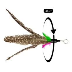 Schlitzohr Stabile Katzenangel Arnold -Katzen Hundebedarf Geschäft 382dabc3124b2433dd5094529d9a28ca6fe26941 1484671 de DE 446adc427da6b16fd110ddca60a13ebf08562de7l9uqlV