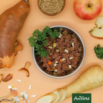 Aniforte RanchHorse Pferd Mit Süßkartoffeln 6 X 800 G 8 Aniforte RanchHorse Pferd Mit Süßkartoffeln 6 X 800 G – Bild 8