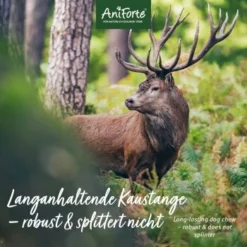 Aniforte Hochland Hirschgeweih Large -Katzen Hundebedarf Geschäft 39f2a5ff6e53888c8c1695f466ea6e43e64cad4b 1656976 de DE 99c99505097d02177ff254d85e1c4aff420ff4f7Vy9IA6