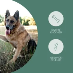 Mammaly Happy Hips 110g 9 Mammaly Happy Hips 110g -Katzen Hundebedarf Geschäft 3c8bff51a0475eda30226950bbfaf91b8c4d5bf4 1472886 1 3