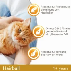 IAMS Vitality Adult Hairball Huhn 10 Kg -Katzen Hundebedarf Geschäft 401ab652809dfedce7c59c99ad81fce5347594eb 334b64ba35870c05d1378b1c3128cc83d6f79ac9