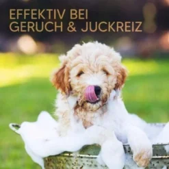 Pawlie's Welpenshampoo -Katzen Hundebedarf Geschäft 42f9c58257fb2002e5c33c2d81bd829c9adeb1cc 1626204 de DE 8b17d3990cf88ea437c76c60b6848183bc9636a5a44ihJ