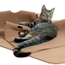 Canadian Cat Company Spielteppich Für Katzen Braun 10 Canadian Cat Company Spielteppich Für Katzen Braun -Katzen Hundebedarf Geschäft 446d45749f5e58cb5a7dbc00eb3558dbe40784fe 1394213 de DE 80770b9625226d955903498b97e7018485822aeeDB3L2u