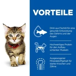 Hill's Science Plan Kitten Multipack Mit Huhn Und Seefisch 12x85 G 14 Hill's Science Plan Kitten Multipack Mit Huhn Und Seefisch 12x85 G -Katzen Hundebedarf Geschäft 463b640dbed78dd738a2b07fd8aec2aae4b06733 52742211503 5