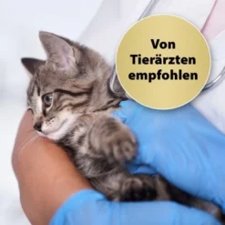 Felisept Home Comfort Beruhigungshalsband Für Katzen -Katzen Hundebedarf Geschäft 49f63f3eec6617dbc795d98ab15477ddca010d3a 1238279 de DE Felisept 2