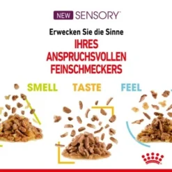 ROYAL CANIN SENSORY Smell In Gelee Für Wählerische Katzen 12x85g -Katzen Hundebedarf Geschäft 4a632532d23d065e189b82401db5c561b6749e74 bbe7e159ee2cfcc0155771b211da953377ec5c40