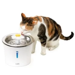 Catit Trinkbrunnen Blume Mit Edelstahl 7 Catit Trinkbrunnen Blume Mit Edelstahl -Katzen Hundebedarf Geschäft 5392539c8dbc8d85986bf4b0fbb7edf6416e3e08 0aff85bcd98f6c5d68afbc6cc6059726358a2666