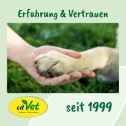 DentaVet Gel 35g -Katzen Hundebedarf Geschäft 545e087e057912f1eb130f03a5533927e129f40b 1249039 de DE f215127866d604991b4efc218004018ddf4470952Q2KTf