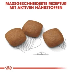 ROYAL CANIN Maxi Joint Care 10 Kg -Katzen Hundebedarf Geschäft 569e889f6a1e35c2b0a655a3c09e2da96cdb9f8f 882d120e273f03a8bf1786c9c932f743d3d39c92