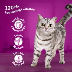 Whiskas Mega Pack 1+ Klassische Auswahl In Sauce 40 X 85g -Katzen Hundebedarf Geschäft 577d6a35462bd69442d57b06ef0f51e82f851a3a 1410718 de DE Whiskas2 1