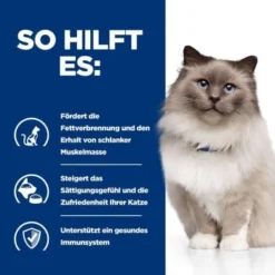 Hill's Prescription Diet Weight Loss R/d Mit Huhn 1,5 Kg -Katzen Hundebedarf Geschäft 57b0b500178925881ec20cae281495453615ab0b 26de2a9eaecf697777195031c030845325fcd2f9