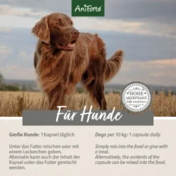 Aniforte Zecken Schild (10 Bis 35kg) Für Hunde 60 Kapseln -Katzen Hundebedarf Geschäft 5d4c18b2293faf2e5564b5312e60cc2ae485fb29 1332832 de DE ffd45c07e5d1db9ca6ca2f6cb8b8fd03b27d87f7qF1J4e