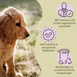 FAVLY Petfood PURE Bites Lamm 360 G -Katzen Hundebedarf Geschäft 5d7b6f7ff0cad3d69d8328aff31a8cc220780e0f 1474004 de DE cfc8e2f3174986d5e2d5f456c501da9d9b200fe9C0H0tH