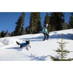 Ruffwear Powder Hound™ Hundejacke Blau M 18 Ruffwear Powder Hound™ Hundejacke Blau M -Katzen Hundebedarf Geschäft 60a2ca7207840932a4f010a8fc36bb9b87af6dc1 1639789 de DE 741c56b9156c62f13f8452409487b918b49626f7rtvpKV