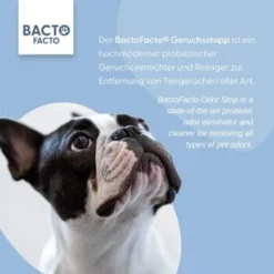 ChronoBalance BactoFacto Probiotischer Geruchsstopp Pads Für 2 Liter 20 Ml -Katzen Hundebedarf Geschäft 6515b6e6800e68909a0a5f7e0f816613e8c36542 1397549 de DE 9a466fcf5c88e78df191b07c6d764f4746df49dcxtsIbT