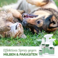 Aniforte Milben-STOP Spray Für Hunde Und Katzen 100 G -Katzen Hundebedarf Geschäft 65c573e701babc35d0222949c6f8e5e51e98ed10 1656142 de DE a537cb98349378307bdd6f629cf67a682ee52db6lSupmg