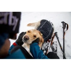 Ruffwear Cloud Chaser™ Hundejacke Schwarz XXS 19 Ruffwear Cloud Chaser™ Hundejacke Schwarz XXS -Katzen Hundebedarf Geschäft 663863851733872c9a7a7a5137c57cadf708e304 1369623 de DE 51d1c132eb566a7eb9e278708f64567d4e47a10eLvqV28