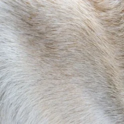 THE DOG IDEA Klassische Hundebürste Naturfibre -Katzen Hundebedarf Geschäft 676bdeb1a8deaabc9fd3f5e57dee401f0e69a9f8 1485270 de DE eacaeb5bfae7cf6612554a6aa926d1cc6dfba5918XqumA